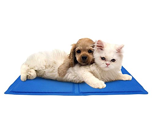 Crufts - Self Cooling Pet Dog Gel Mat 40cm x 30cm Travel Playing Training Pad