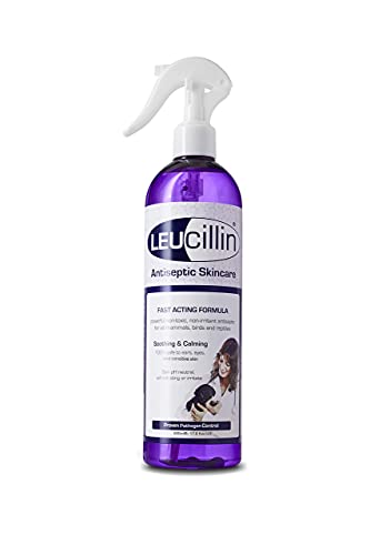 Leucillin Natural Antiseptic Spray | Antibacterial, Antifungal & Antiviral | for Dogs, Cats and All Animals | for Itchy Skin and All Skin Care Health | 500ml