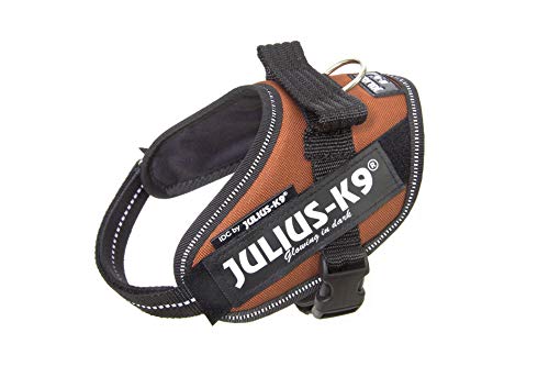 Julius-K9, 16IDC-KOR-MM, IDC Powerharness, dog harness, Size: Mini-Mini, Copper Orange