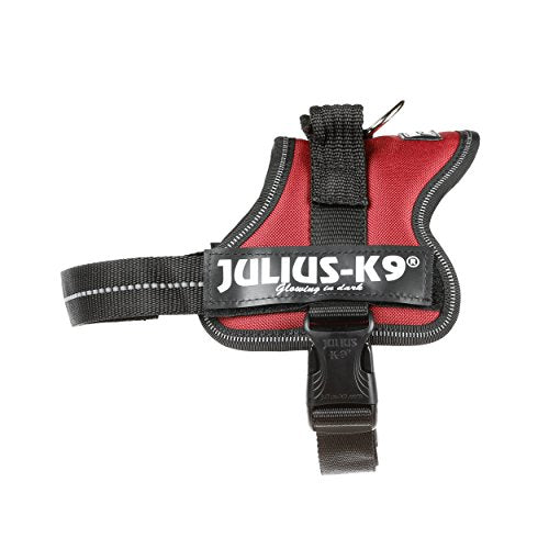 Julius-K9, 162BR-M, K9-Powerharness, dog harness, Size: Mini, Bordeaux