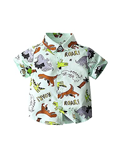 Toddler Boys Hawaiian Shirts, Short Sleeve Top Children Clothes for 2-8 Years (White, 6-7Years)