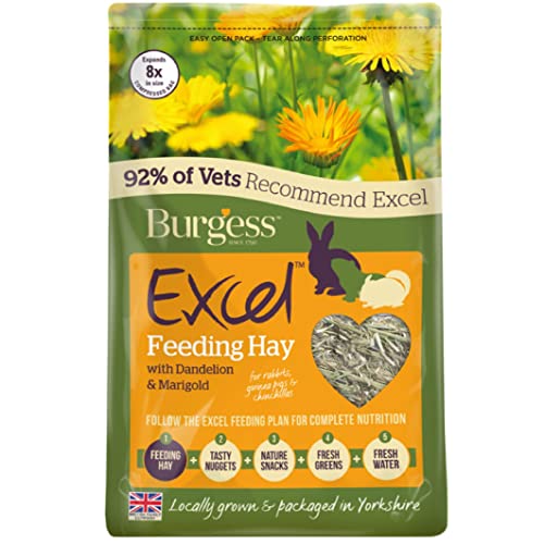 Burgess Excel Feeding Hay with Dandelion and Marigold 1kg