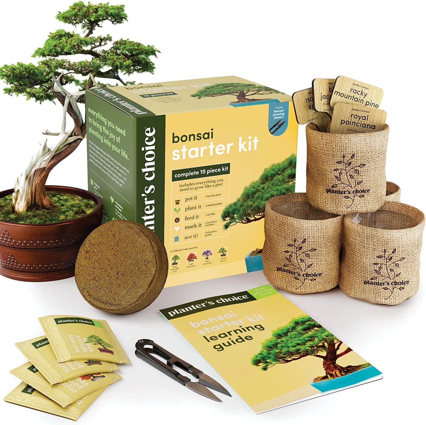 New Bonsai Starter Kit - Gardening Gifts for Women & Men - Unique DIY Hobbies, Crafts Hobby Kits for Adults - Unusual Gift Ideas for Garden Plant Lovers, or Gardener Mother (Bonsai)