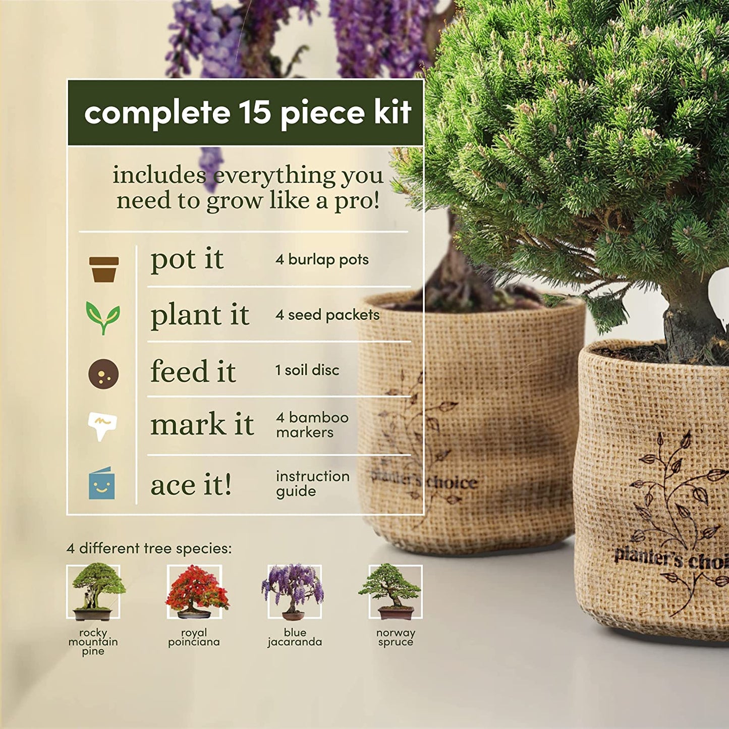 New Bonsai Starter Kit - Gardening Gifts for Women & Men - Unique DIY Hobbies, Crafts Hobby Kits for Adults - Unusual Gift Ideas for Garden Plant Lovers, or Gardener Mother (Bonsai)