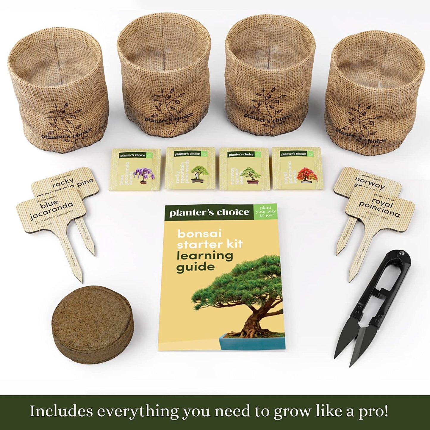 New Bonsai Starter Kit - Gardening Gifts for Women & Men - Unique DIY Hobbies, Crafts Hobby Kits for Adults - Unusual Gift Ideas for Garden Plant Lovers, or Gardener Mother (Bonsai)